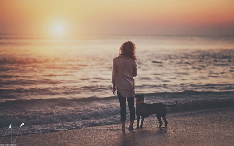 woman and dog at sunset