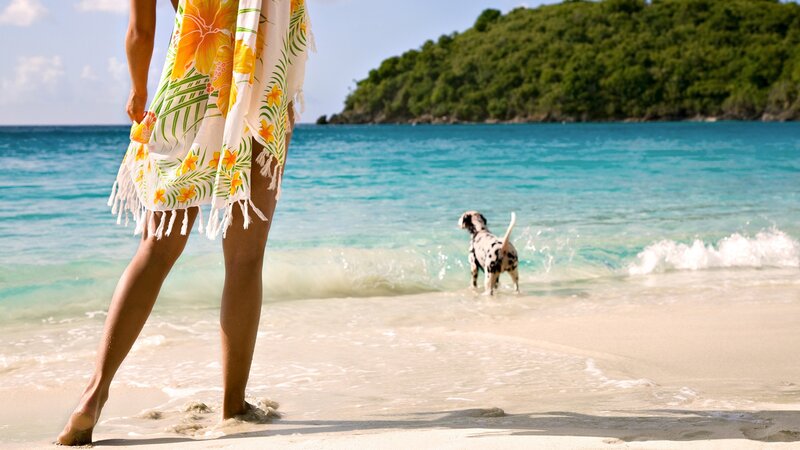 Woman and dog at tropical beach