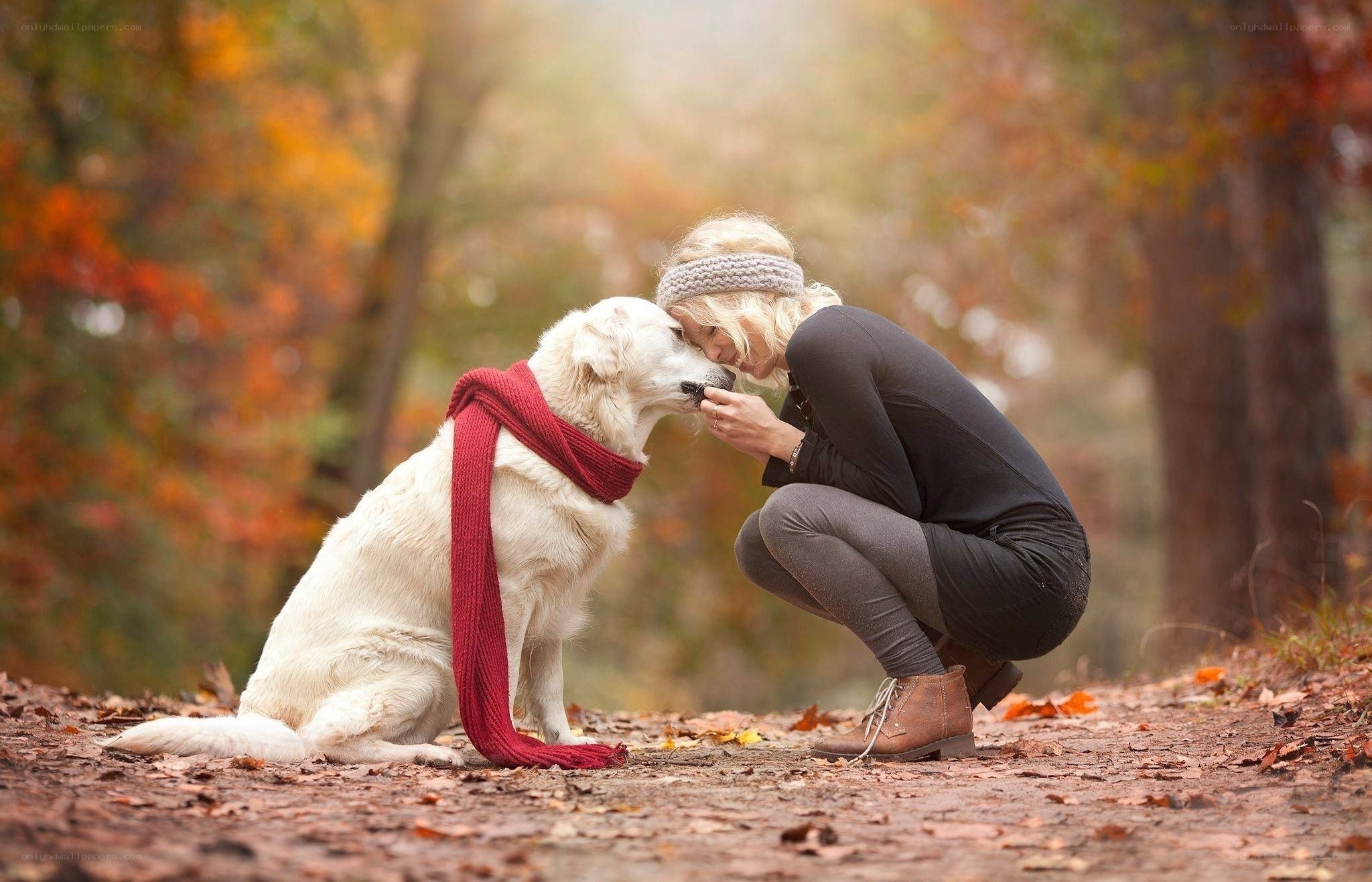 woman and dog in autumn