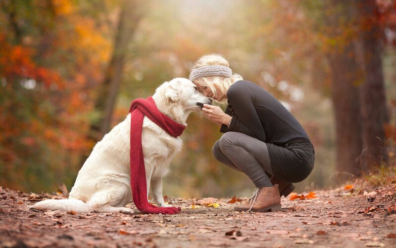 Woman and Dog in Forest — Red