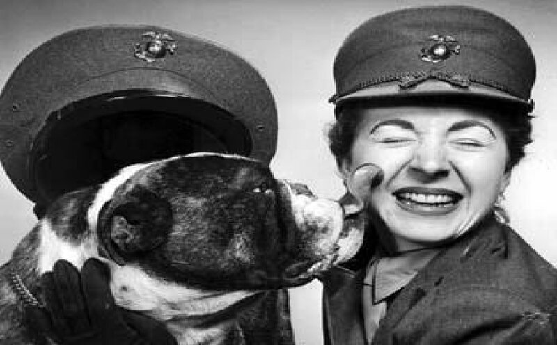 Woman and Dog in Uniform