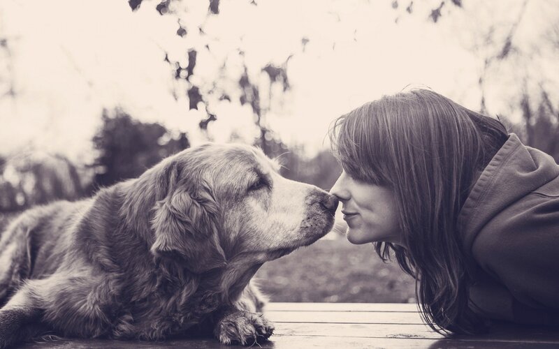 Woman and Dog Nose-to-nose — Black, Intimate