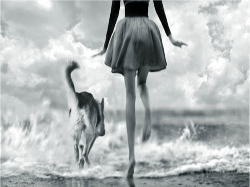 woman and dog on beach