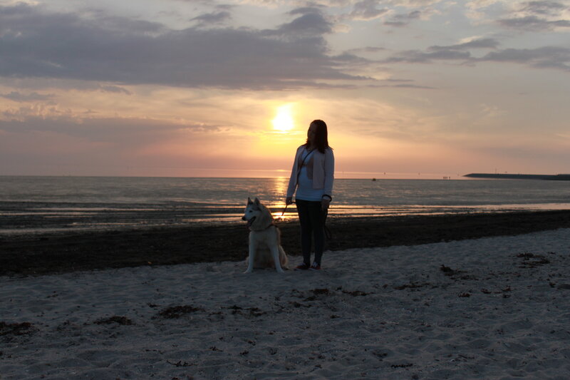Woman and Dog on Beach — Orange, Serene, Sunset
