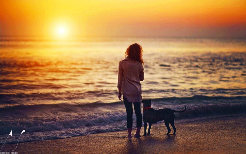 Woman and Dog on Beach — Orange