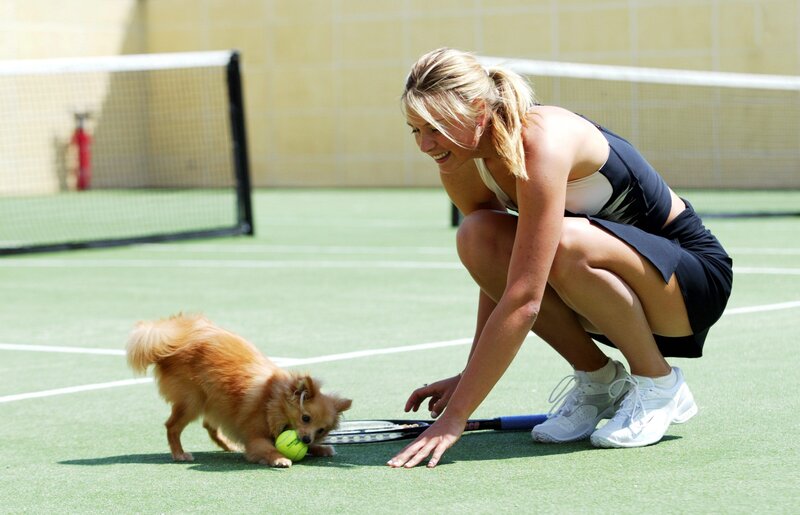 Woman and Dog on Court — Green