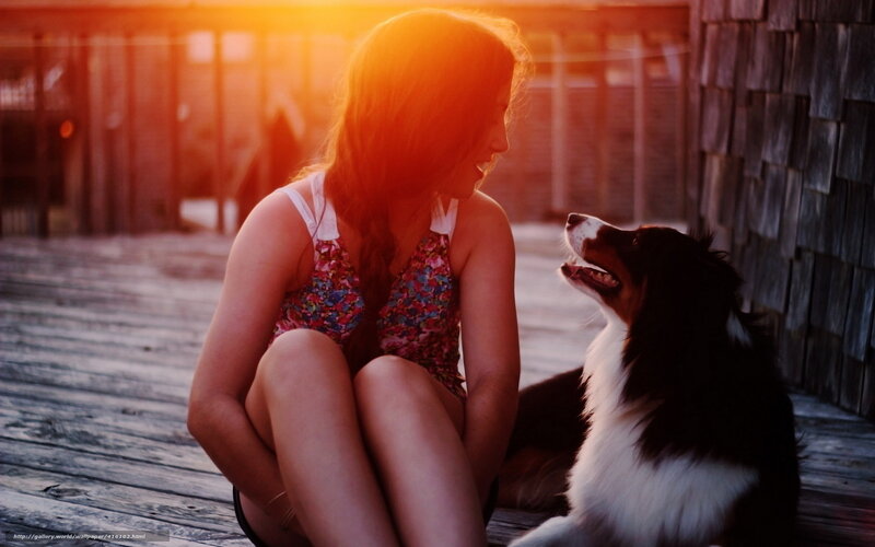 Woman and Dog on Deck — Orange