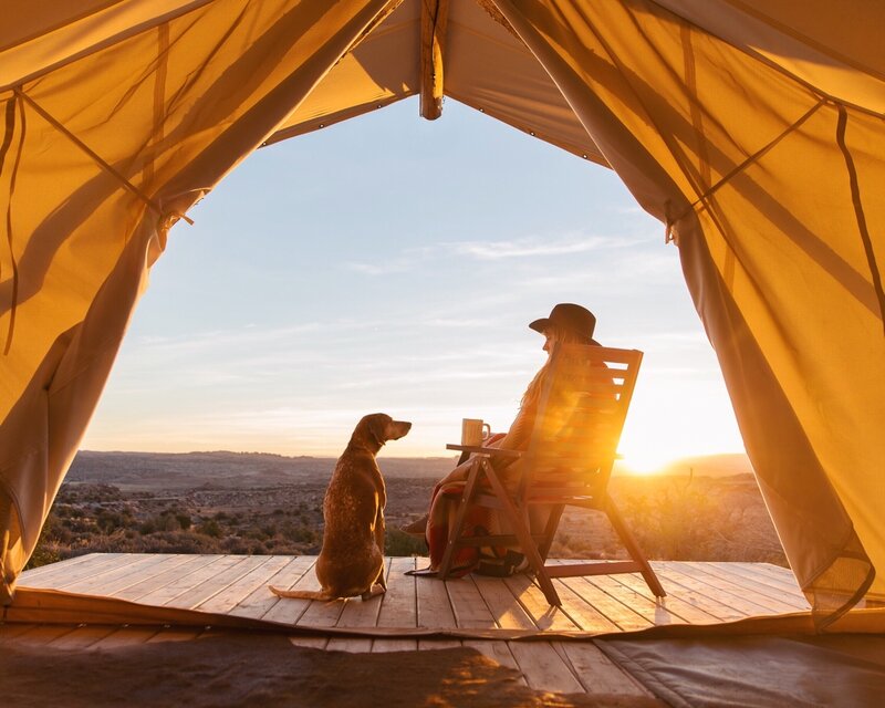 Woman and Dog on Deck — Yellow