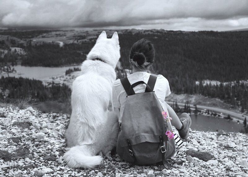 Woman and Dog on Hill
