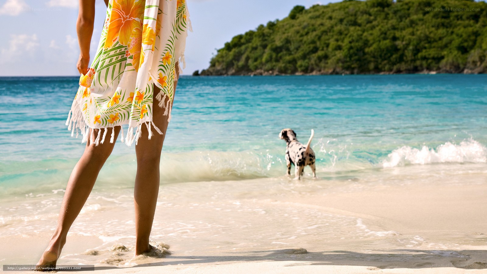 Woman and dog on tropical beach