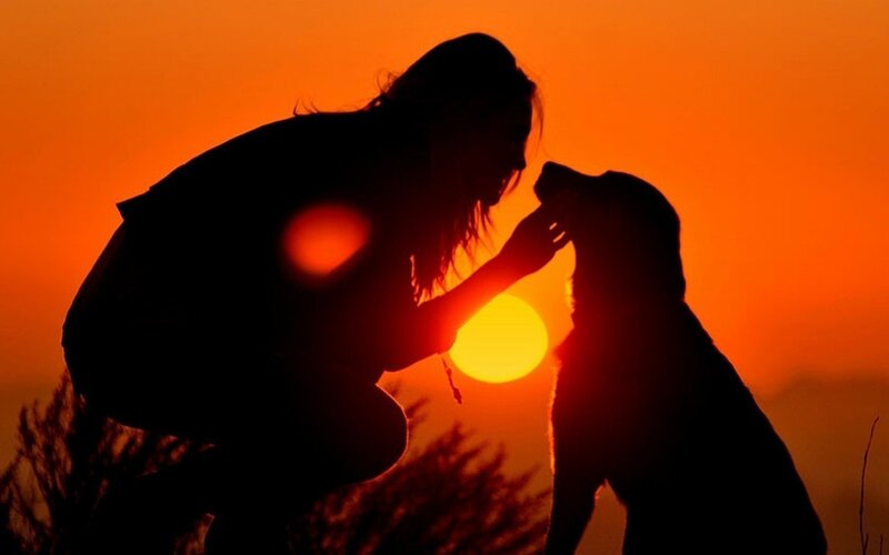 Woman and Dog Silhouette — Orange, Dramatic