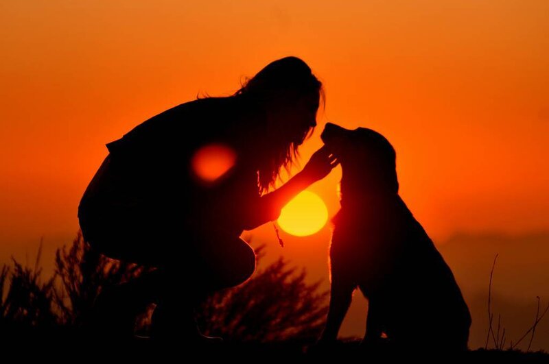 Woman and Dog Silhouette — Orange