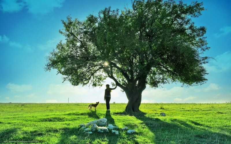 Woman and Dog under Tree — Green
