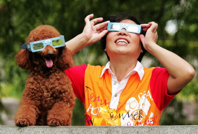 Woman and dog wearing eclipse glasses