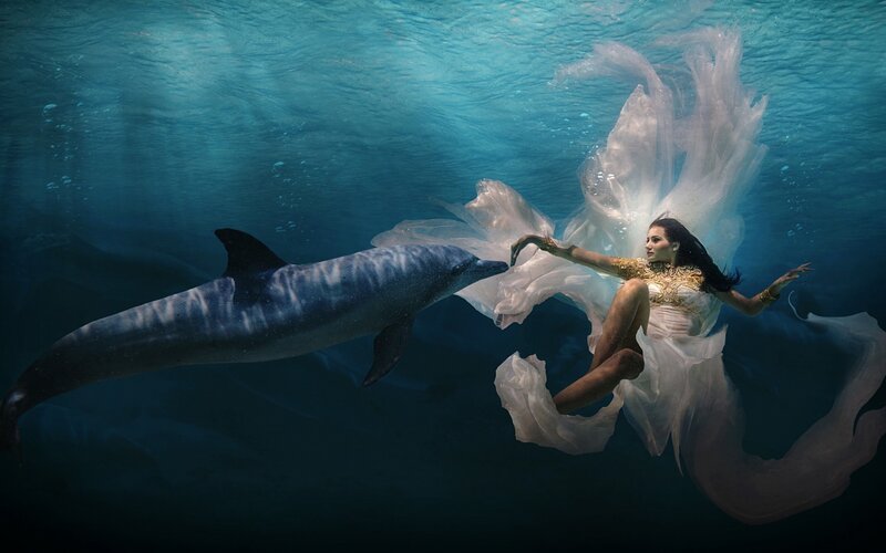 Woman and Dolphin Underwater — Blue