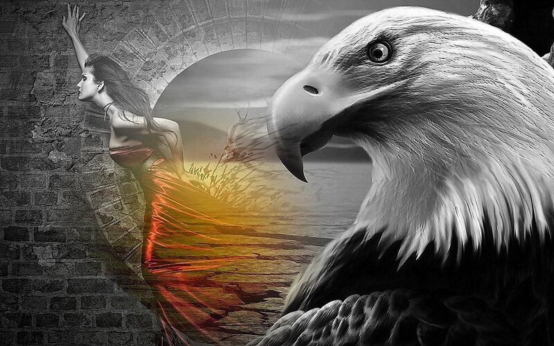 woman and eagle collage