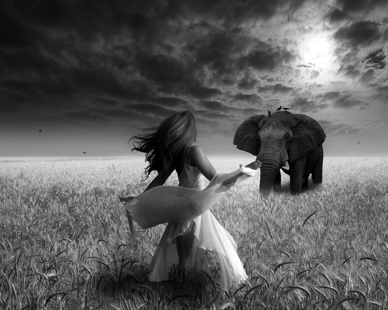 Woman and Elephant in Field