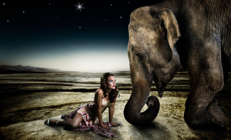 Woman and Elephant