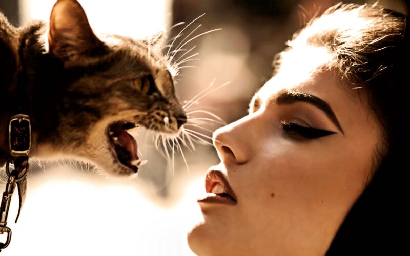 Woman and hissing cat