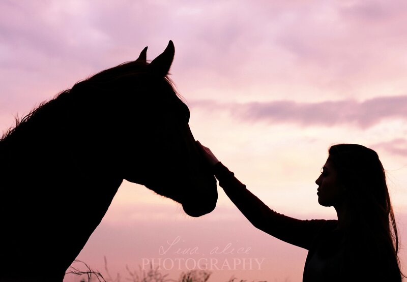 woman and horse at sunset