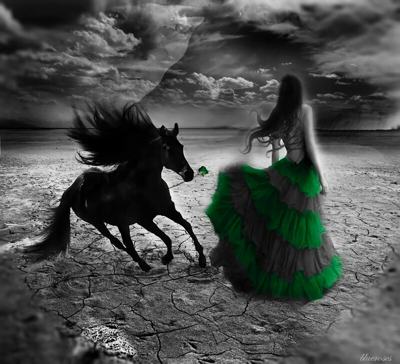 Woman and Horse — Black, Dramatic