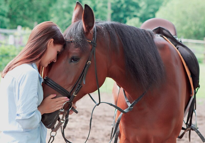Woman and Horse — Brown