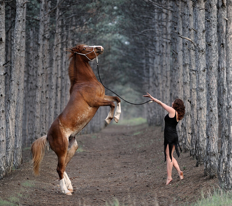Woman and horse in forest