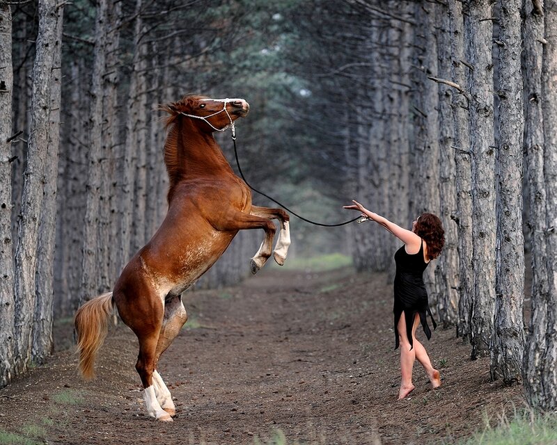 Woman and horse in forest