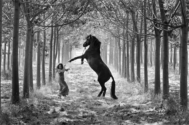 Woman and horse in forest