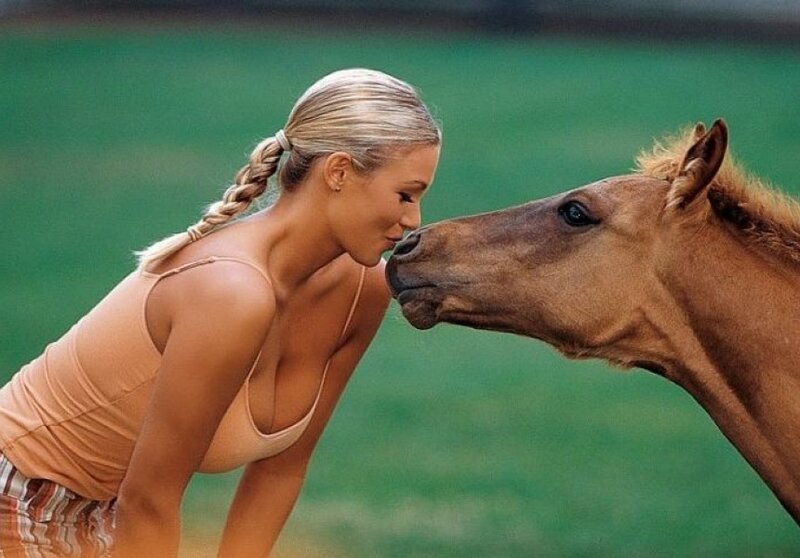woman and horse nuzzle