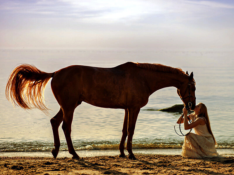 Woman and Horse on Beach — Brown
