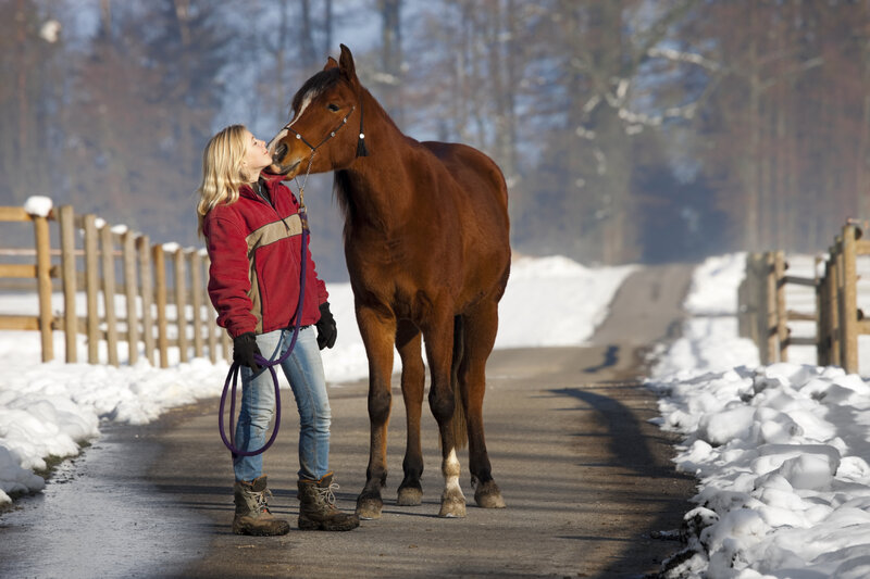 Woman and Horse on Road