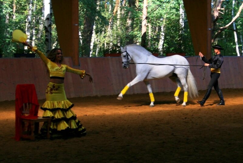 Woman and Horse Performing