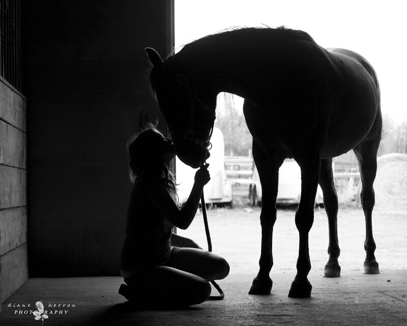 Woman and Horse Silhouette