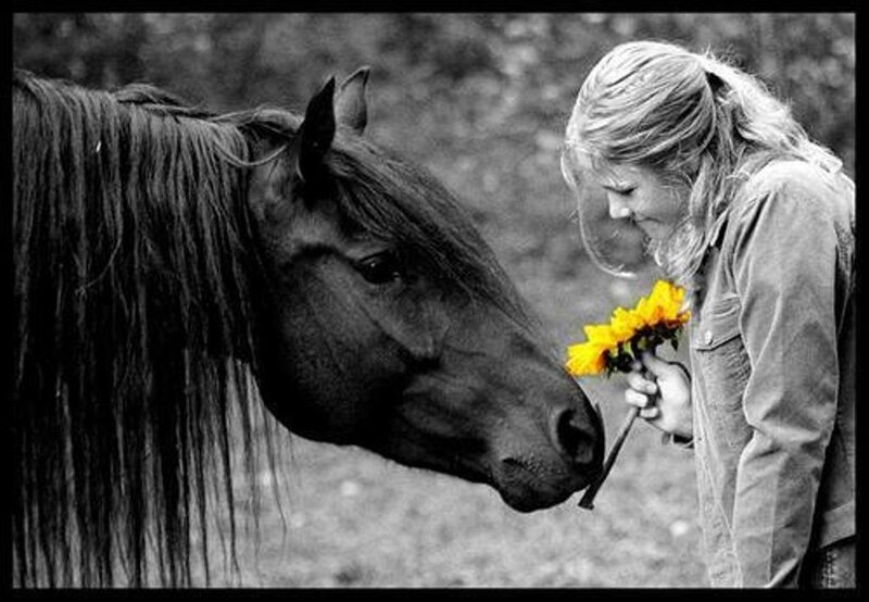 Woman and Horse with Flower