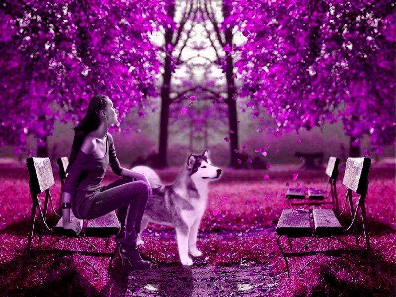 Woman and Husky Dog — Purple
