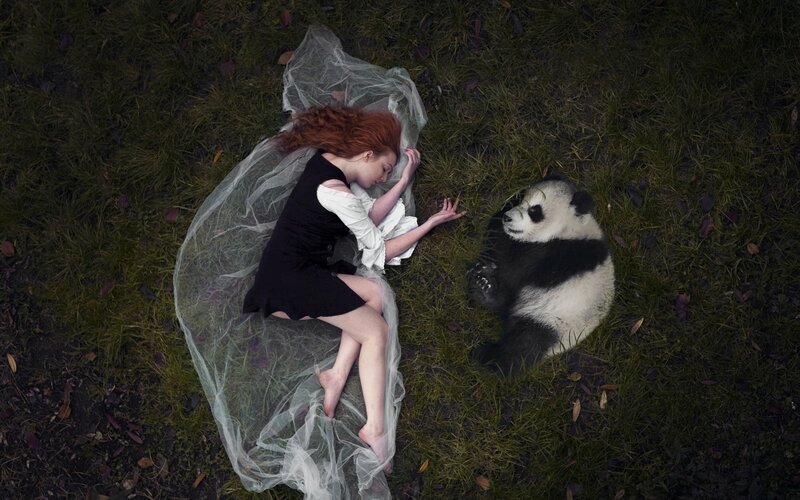 Woman and Panda Bear