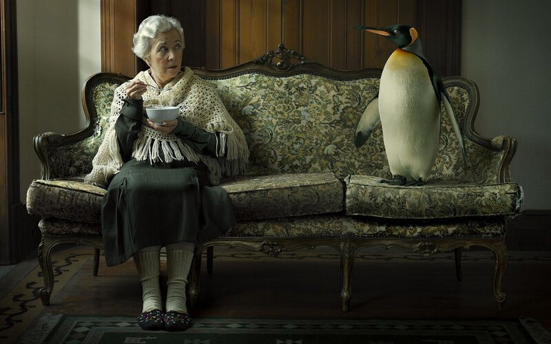 Woman and penguin on a sofa