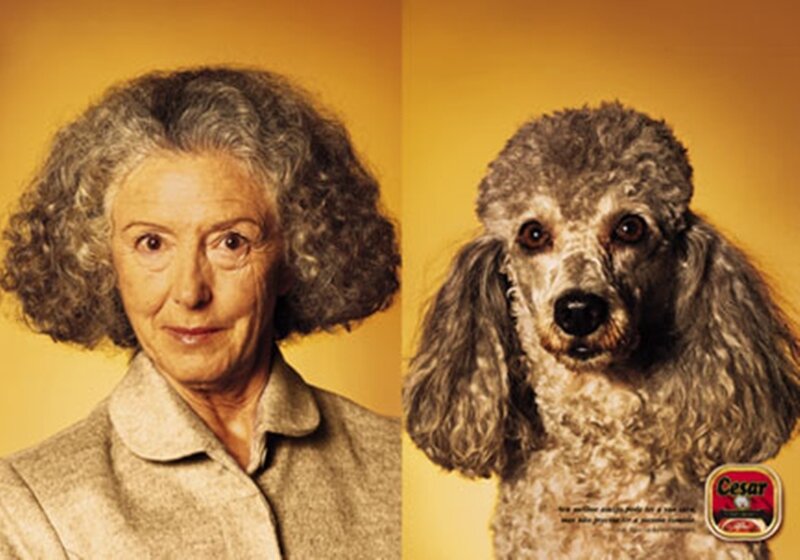 woman and poodle portrait