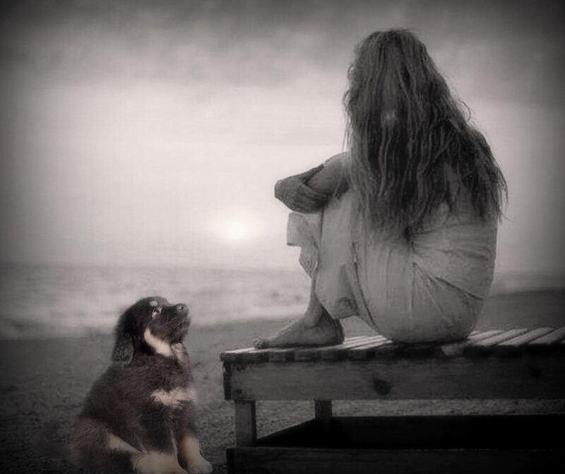 Woman and Puppy on Beach — Black