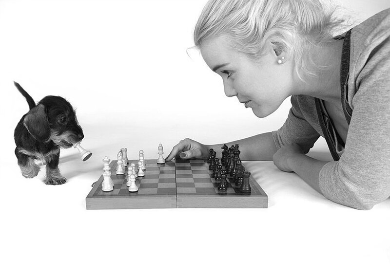 Woman and Puppy Playing Chess — Black