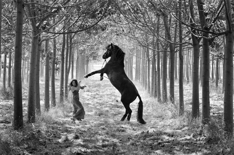 Woman and Rearing Horse
