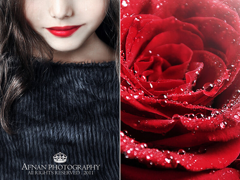 Woman and Red Rose