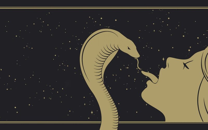 woman and snake in starry night