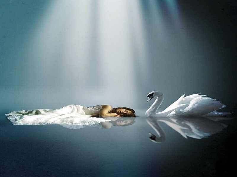 Woman and Swan in Water