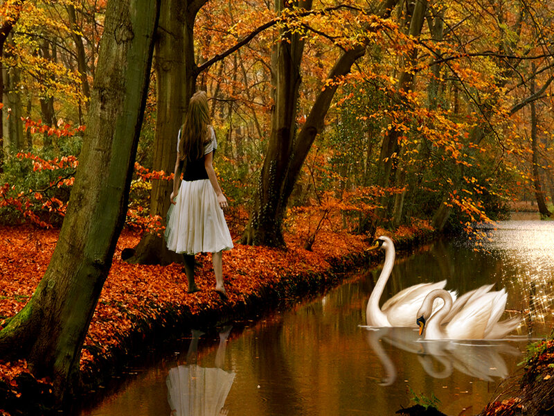 Woman and Swans in Forest