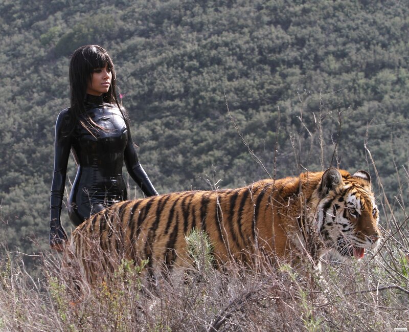 Woman and Tiger in Field