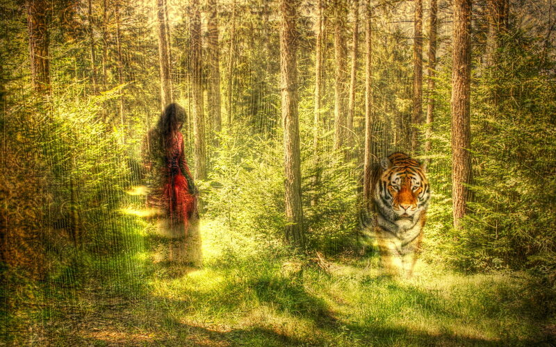 Woman and Tiger in Forest — Green, Dramatic