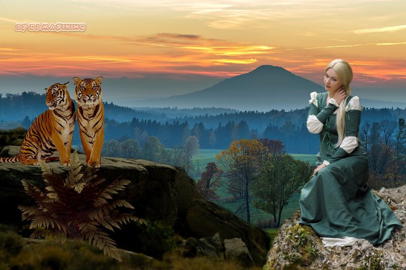 Woman and Tigers on Rocks
