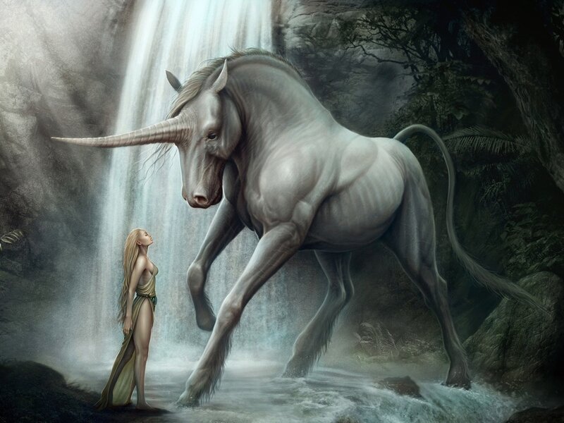 Woman and Unicorn — Gray